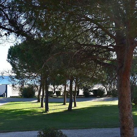 Le Byblos 9 - Vue Mer - Climatisation Plage dʼArgelès 외부 사진