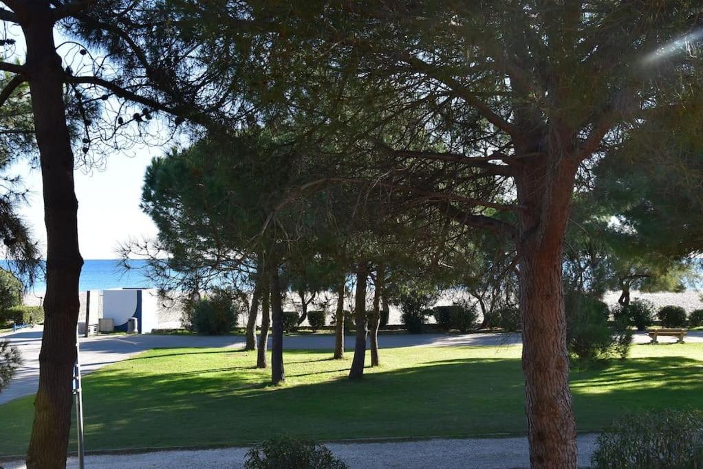 Le Byblos 9 - Vue Mer - Climatisation Plage dʼArgelès 외부 사진